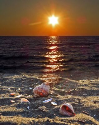 МОРЕ, тел. 8 920 990-63-34 — vip эскорт